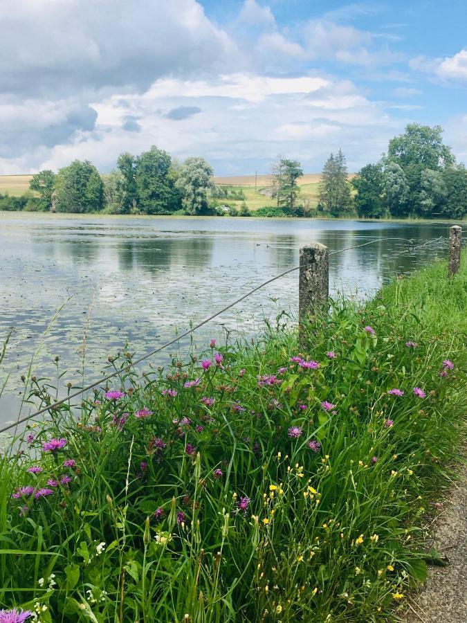 L'Echappee Ardennaise - Gite 6 Places Tout Confort Semuy Dış mekan fotoğraf
